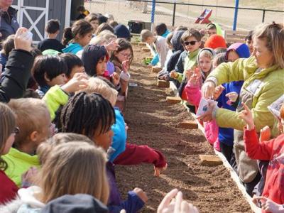 second graders planting
