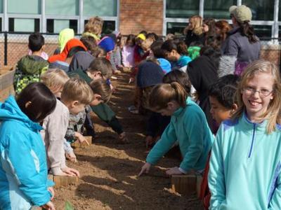 second graders planting